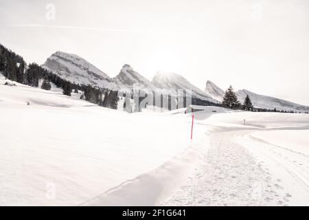 Winter in Wildhaus-Alt St. Johann Toggenburg near the Churfirsten - Snow Walk Tour in deep snow - Switzerland Stock Photo