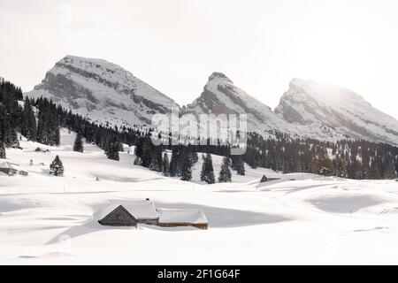 Winter in Wildhaus-Alt St. Johann Toggenburg near the Churfirsten - Snow Walk Tour in deep snow - Switzerland Stock Photo