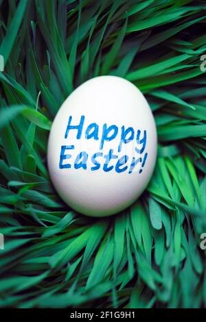 Single Happy Easter egg hidden in grass Stock Photo