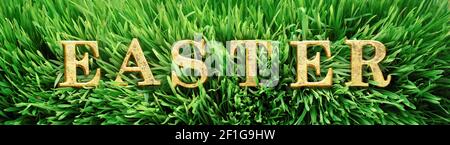 Fresh green grass with the word Easter in bright gold letters Stock Photo