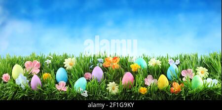 Bright colorful Easter eggs on green grass with flowers against blue sky Stock Photo