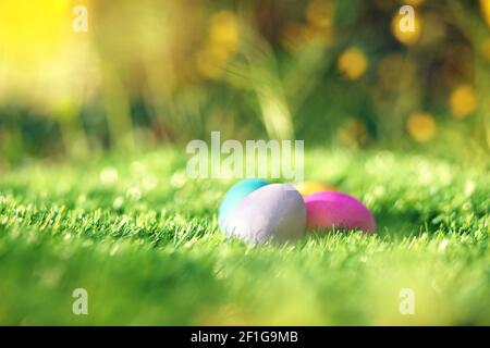 Collection of colorful Easter eggs in grass Stock Photo