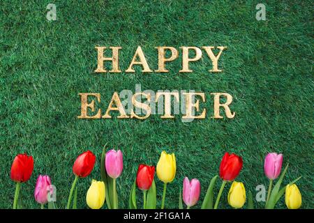 Happy Easter text on green grass with colorful tulips. Stock Photo