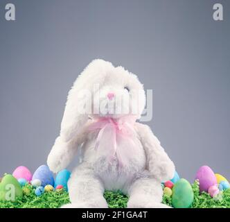 Stuffed animal Easter Bunny surrounded with painted Easter eggs and colorful decorations. Stock Photo