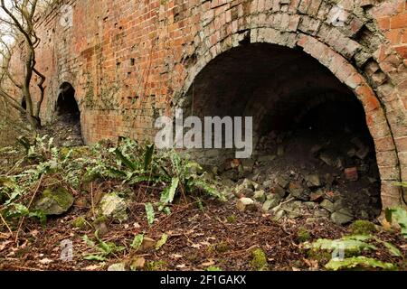 Remains of kilns at Skelsey's Port Adamant Cement Works, Barton on Humber, UK, operative from 1892-1927. Stock Photo