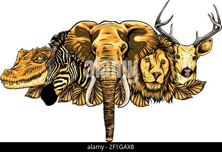 Cartoon african wild animals on white background Stock Vector