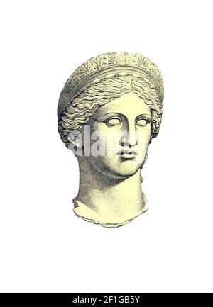 An illustration of the portrait of Hera isolated on a white background ...