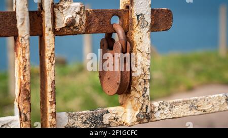 A rusty padlock on a closed gate, with blurry pasture and coast in the background Stock Photo