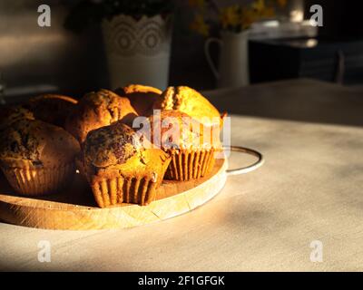 Many cupcakes on a wooden table, warm lights, fresh cookies with oven, closeup, muffin Stock Photo