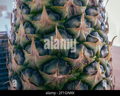 Detailed image of the peel of a pineapple Stock Photo