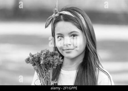 Little girl cornflowers bouquet holiday greetings, summer freshness concept. Stock Photo