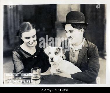 Charlie Chaplin photo from the movie A Dog's Life. 1918. Stock Photo
