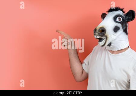 Young man in a latex dog head mask holding a weight scale on a pink  background Stock Photo - Alamy