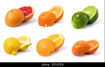 Citrus fruit set Stock Photo