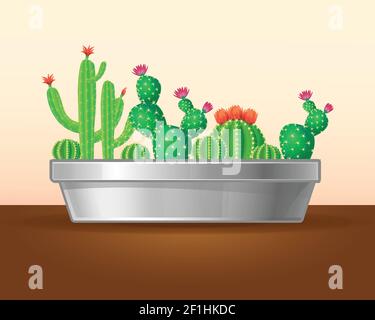 Decorative green plants concept with blooming cactuses and succulents in planter on brown table isolated vector illustration Stock Vector