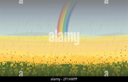Colorful beautiful field landscape background with sunflowers and rainbow after rain vector illustration Stock Vector