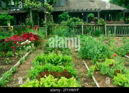 Backyard fenced in vegetable and flower garden planted in raised beds and rows with an arbor entrance from house, Columbia Missouri, USA Stock Photo