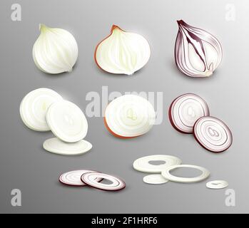 Realistic fresh onion collection with whole vegetables slices and rings of different types isolated vector illustration Stock Vector