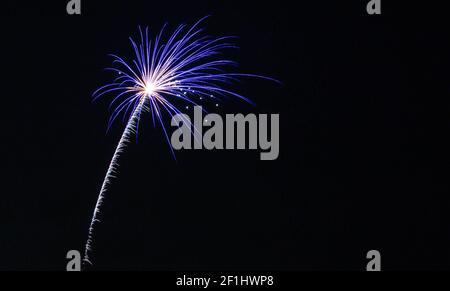 Fireworks in a black night sky Stock Photo