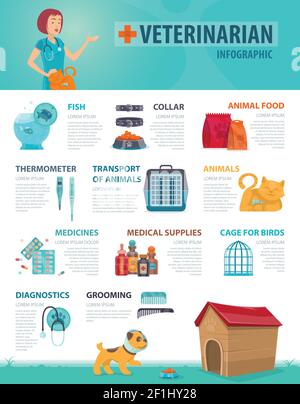 Colorful vet infographic concept with animal products equipment and medical supplies for pets vector illustration Stock Vector