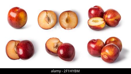 Plum Stock Photo