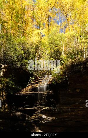 Slick Rock Falls the Appalachian mountains in Pisgah National forest in North Carolina Stock Photo