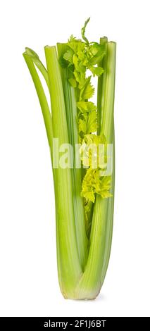 Celery on white background Stock Photo