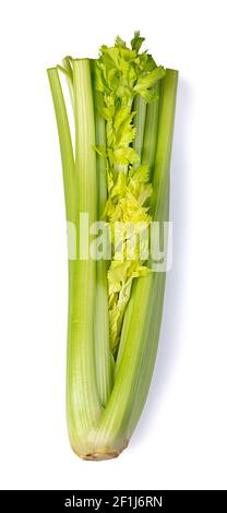 Celery on white background Stock Photo
