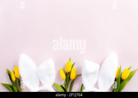 Easter concept. Flat lay with white fluffy rabbit ears, yellow tulips on a pink background. High quality photo Stock Photo