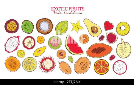Colored sketch natural exotic products collection with fresh tropical fruits and berries isolated vector illustration Stock Vector