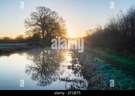 Oak trees along the Oxford canal on a february frosty morning at sunrise. Upper Heyford, Oxfordshire, England Stock Photo