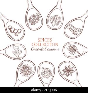 Sketch spices and herbs round concept with food seasonings and condiments on spoons isolated vector illustration Stock Vector