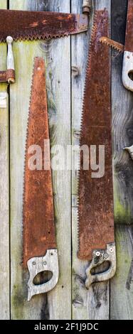 Old rusted vintage saw and tools hanging on a barn Stock Photo