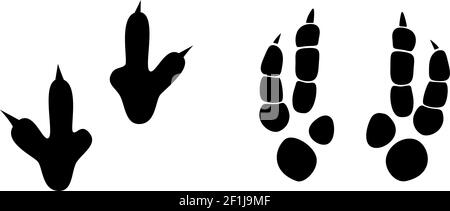 Dinosaur footprint tracks vector set illustration. Background with paw ...