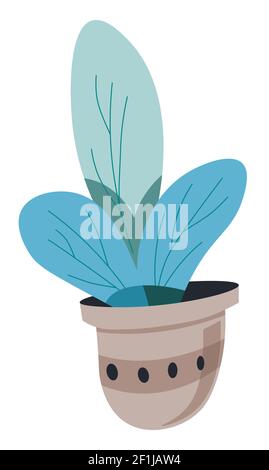 Plant with lush foliage in pot, flower foliage Stock Vector