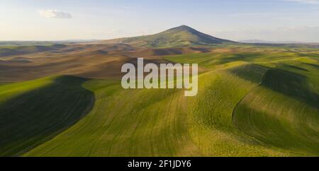 Long Shadows Appear in Late Afternoon Steptoe Butte Palouse Region Sunset Stock Photo