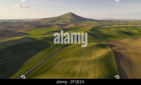 Long Shadows Appear in Late Afternoon Steptoe Butte Palouse Region Sunset Stock Photo