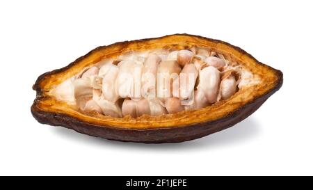 Cocoa pods and cocoa beans Stock Photo