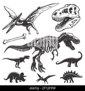 Set of monochrome dinosaurs. Archeology elements. T-rex skull and skeleton. Dinosaurs icons. Stock Vector