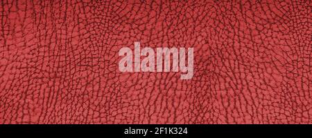 Clean red leather fullframe texture. High resolution. Empty red leatherette closeup macro background Stock Photo