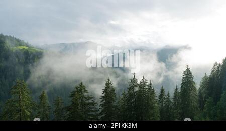 Sun shining through fog and clouds after rain in a forest and mountain landscape Stock Photo
