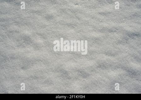 fresh snow cover Stock Photo