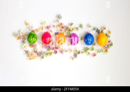 Row of Colorful painted Easter Eggs isolated on white background surrounded with flowers top view background, Happy Easter concept modern design Stock Photo
