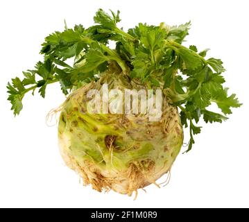 celery root isolated on white background Stock Photo