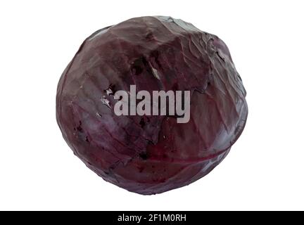 red cabbage isolated on a white background Stock Photo