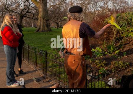 Man feeding parakeets in St James Park - Westminster, London, UK Stock Photo