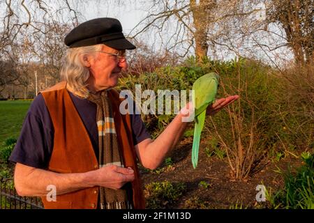 Man feeding parakeets in St James Park - Westminster, London, UK Stock Photo