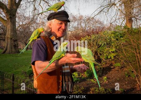 Man feeding parakeets in St James Park - Westminster, London, UK Stock Photo