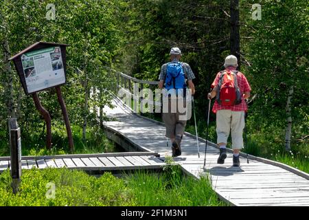 Elderly people on a trip on a trail through a peat bog along a wooden walkway, Healthy lifestyle aging Man Woman walking Bozi Dar Czech Republic Stock Photo