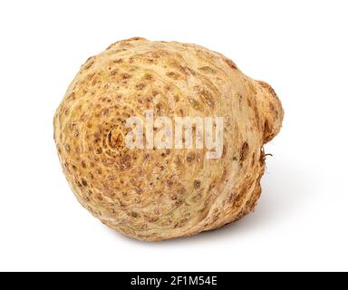 Celery root Stock Photo